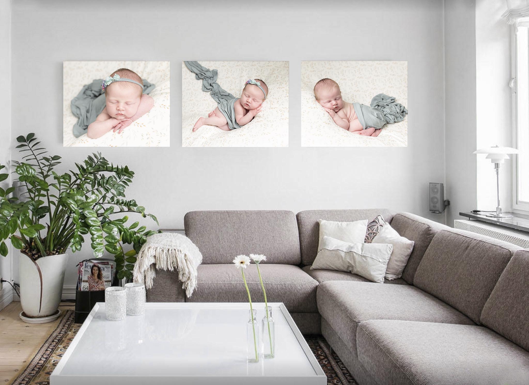 Image of photographs displayed on the wall of a living room