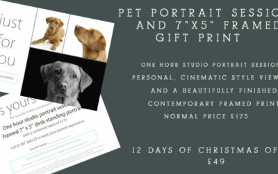 12 Days of Christmas 2020 Offer – Day 6                      Pet Portrait Photography Experience Voucher